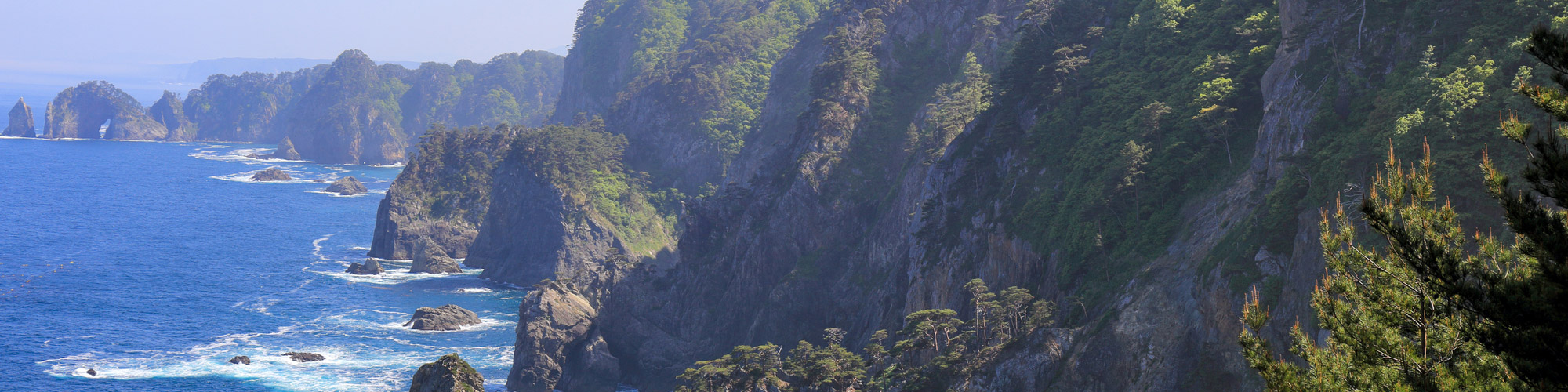 イメージ イメージ